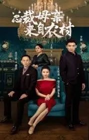 《总裁母亲来自农村》：城乡碰撞下的温情与成长