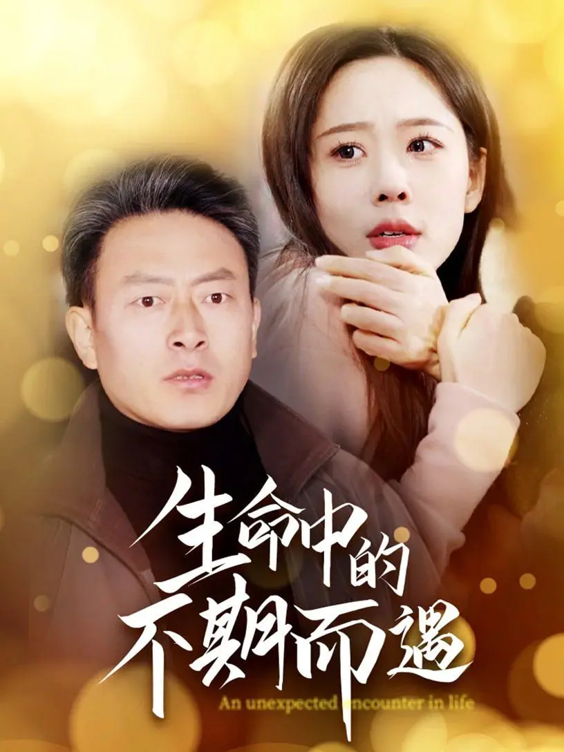 《生命中的不期而遇》：一场意外之旅，治愈心灵的温暖童话