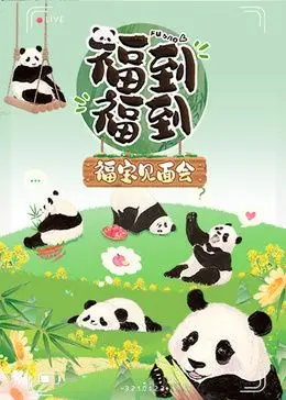 《福到福到福宝见面会》：熊猫顶流福宝回家啦！超萌瞬间全程高能，治愈你的所有不开心！