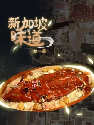 《新加坡味道》：一场舌尖上的情感之旅，品味都市爱情的酸甜苦辣与人生百味！